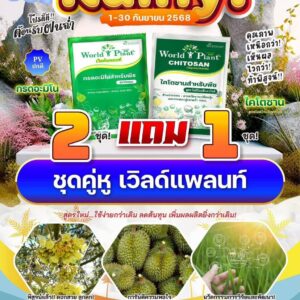 ชุดคู่หู เวิลด์แพลนท์ 2 แถม 1