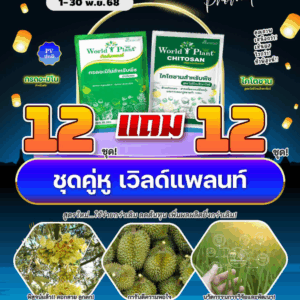 ชุดคู่หู เวิลด์แพลนท์ 12 แถม 12