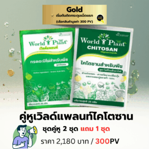 ชุดอัพเกรดสมาชิก ตำแหน่ง Gold
